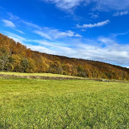 Domki Nad Stawem Uherce Uherce Mineralne ภายนอก รูปภาพ