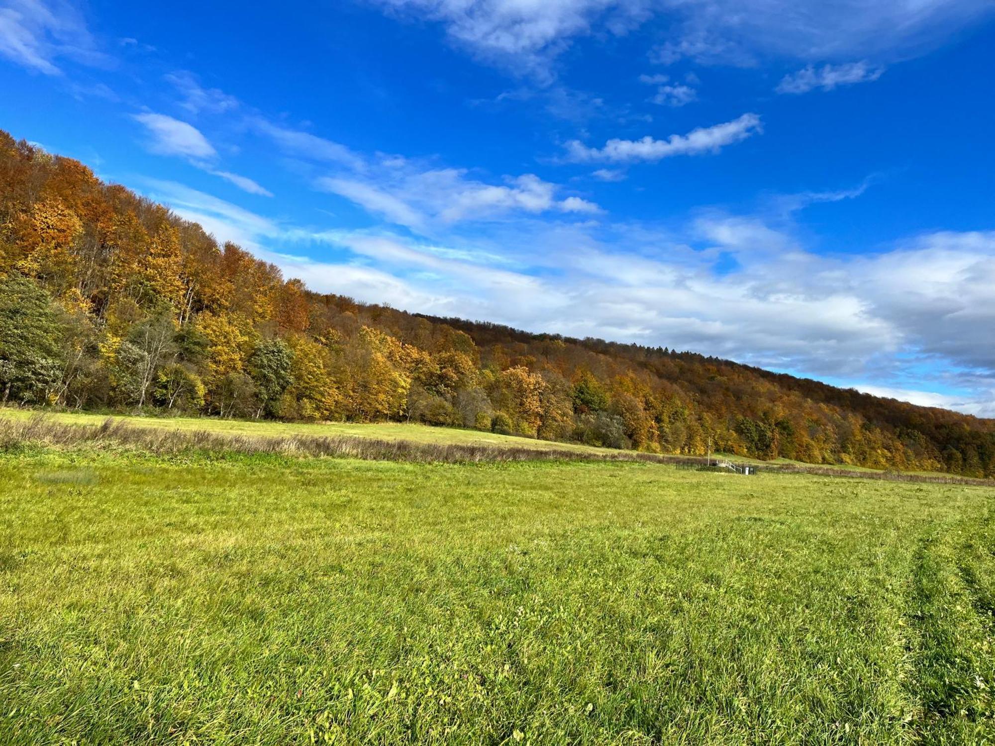 Domki Nad Stawem Uherce Uherce Mineralne ภายนอก รูปภาพ